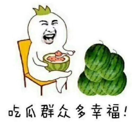 一线吃瓜娱乐圈晋江,揭秘娱乐圈晋江背后的风云变幻
